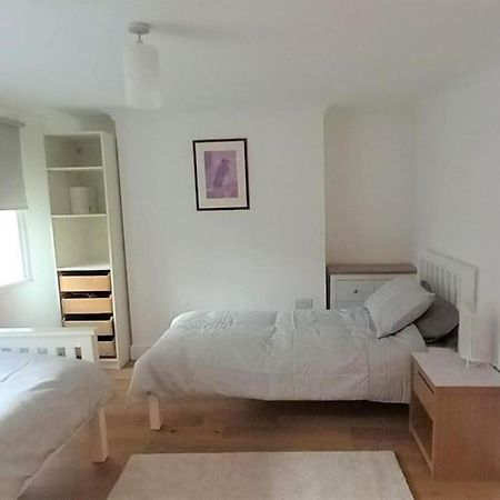 2 Bedroom Victorian Garden Flat London Exteriör bild